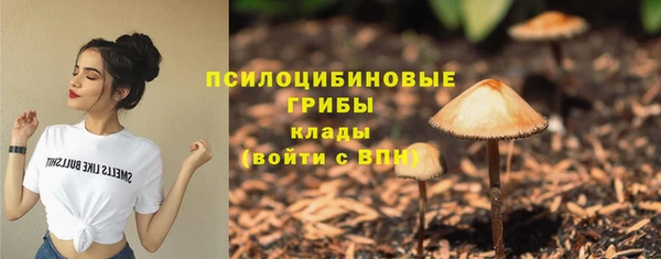 прущие грибы Белоозёрский