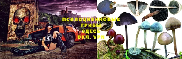 ешки Рославль