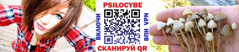 купить  цена  omg ТОР  Галлюциногенные грибы Magic Shrooms  Ветлуга 